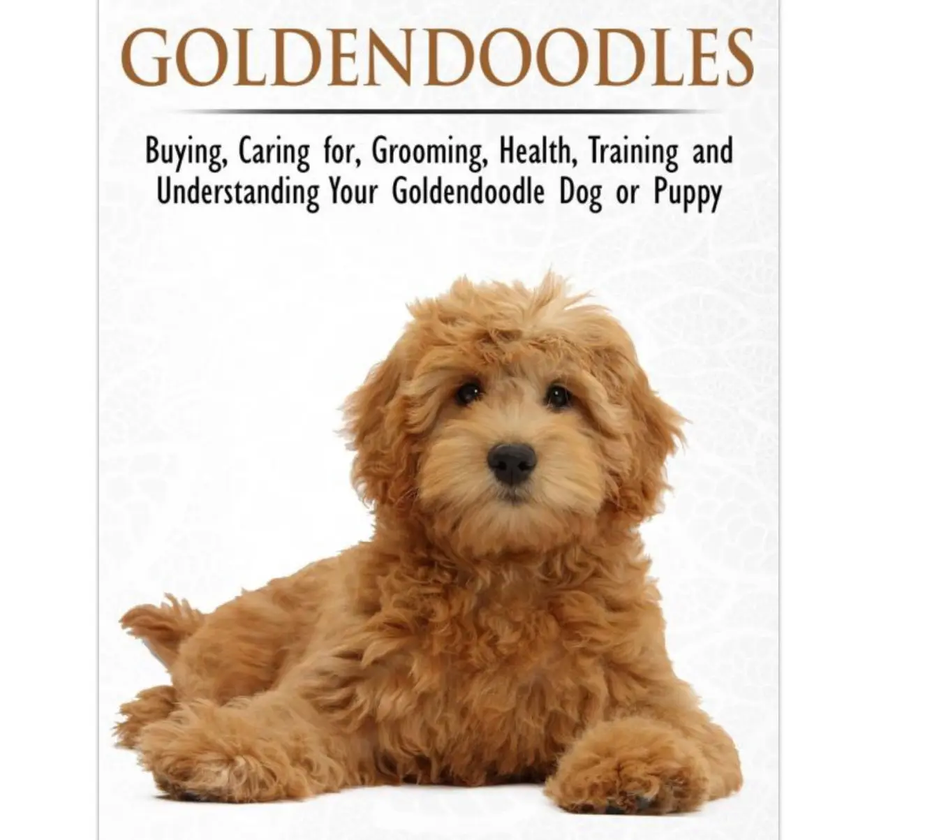 Amazon books about Goldendoodles